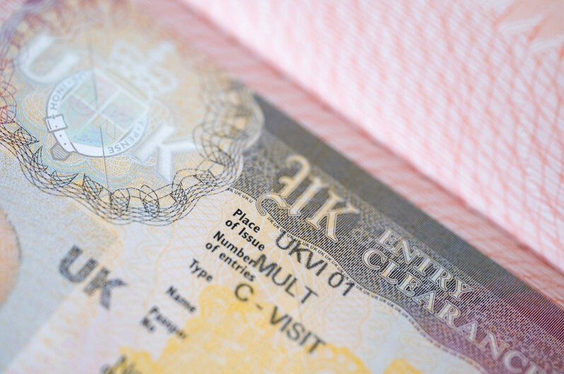 Visa Processing Icon