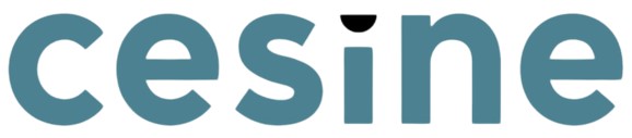 CESINE Business School Santander