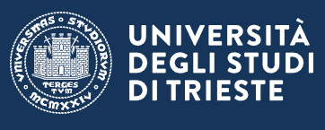 University of Trieste