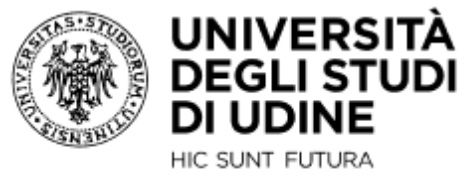 University of Udine
